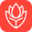 redlotus-landing.pages.dev favicon